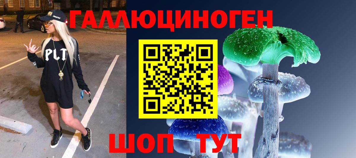 дарнет шоп  Псилоцибиновые грибы Psilocybe  Вход с VPN  Чайковский 